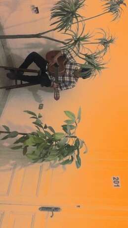 Imagen general del Hotel Safary. Foto 13