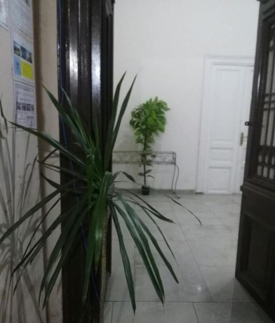 Imagen general del Hotel Safary - Hostel. Foto 2