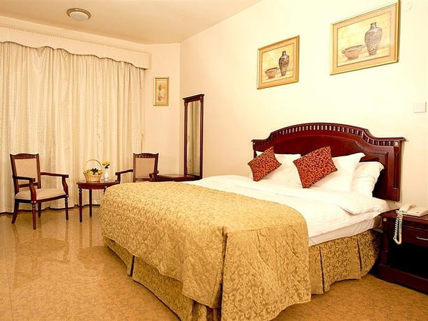 Imagen general del Hotel Safeer International. Foto 7