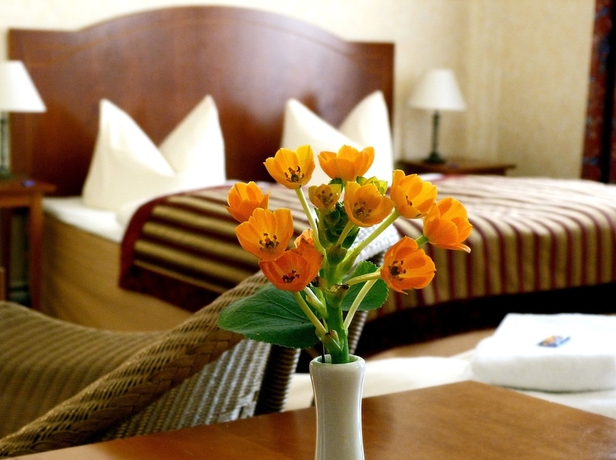 Imagen de la habitación del Hotel Safestay Berlin Kurfurstendamm. Foto 3