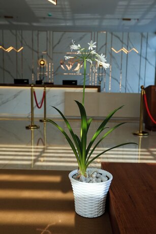 Imagen general del Hotel Saffron Wayanad. Foto 1