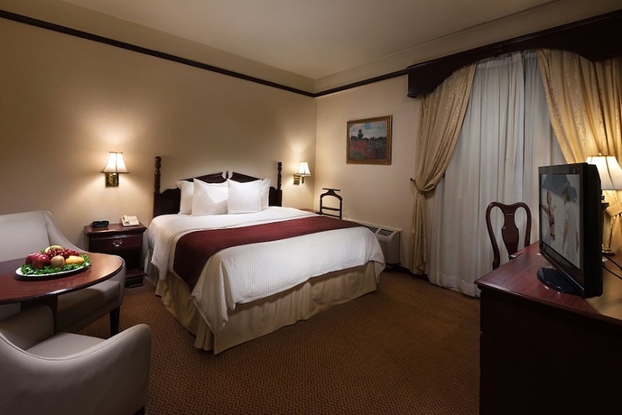 Imagen de la habitación del Hotel Safi Royal Luxury Centro. Foto 6