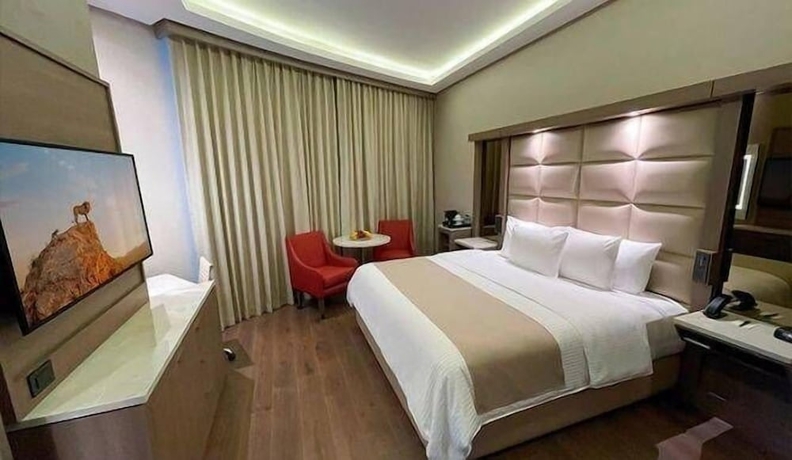 Imagen de la habitación del Hotel Safi Royal Luxury Metropolitan. Foto 7