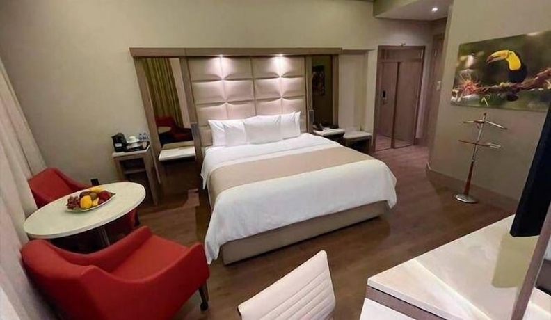 Imagen de la habitación del Hotel Safi Royal Luxury Metropolitan. Foto 15