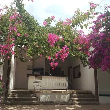 Imagen de los interiores del Hotel Safir, Bitez. Foto 14