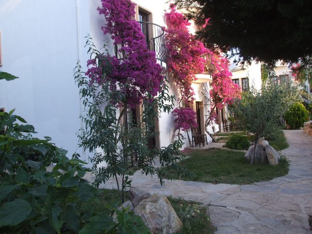 Imagen de los exteriores del Hotel Safir, Bitez. Foto 12