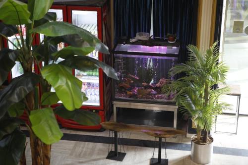 Imagen general del Hotel Safir &Ccedil;orlu. Foto 3