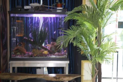 Imagen general del Hotel Safir &Ccedil;orlu. Foto 5