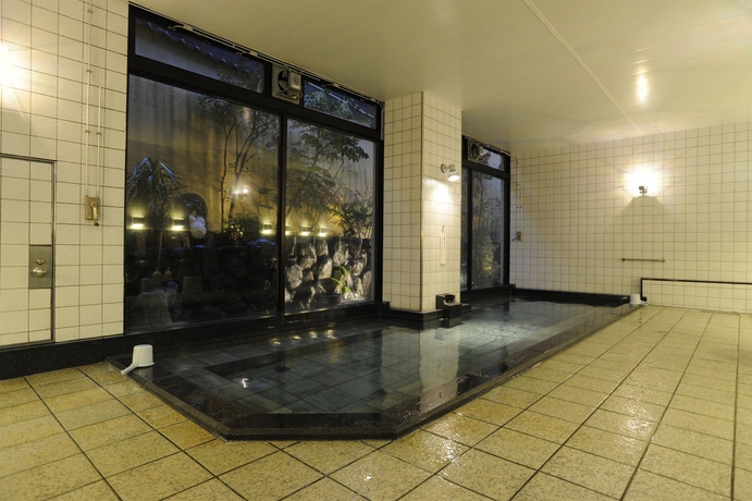 Imagen de la piscina del Hotel Saga Grace. Foto 8