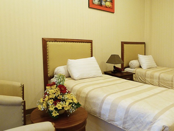 Imagen de la habitación del Hotel Sagan. Foto 13