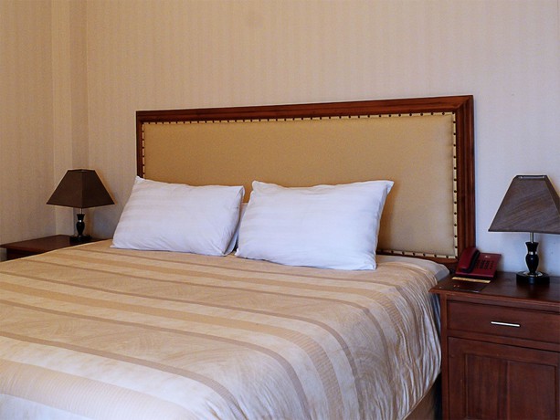 Imagen de la habitación del Hotel Sagan. Foto 15