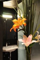 Imagen general del Hotel Sagardi Loft Osteria. Foto 13