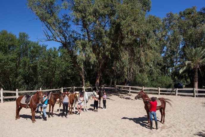 Imagen general del Hotel Sahara Beach Aquapark. Foto 3