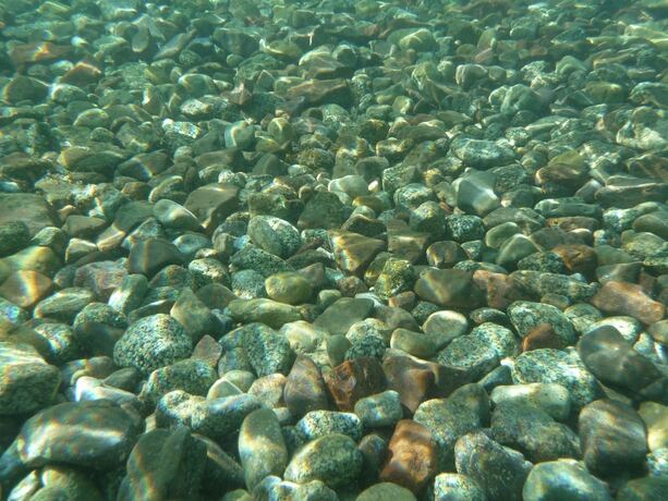 Imagen general del Hotel Sahara Beach Camp. Foto 9