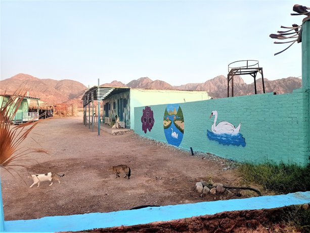 Imagen general del Hotel Sahara Beach Camp Ras Shetan. Foto 4