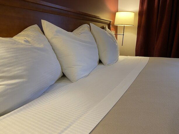 Imagen general del Hotel Sahara Courtyard Inn. Foto 2