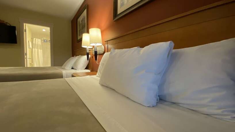 Imagen de la habitación del Hotel Sahara Courtyard Inn. Foto 19