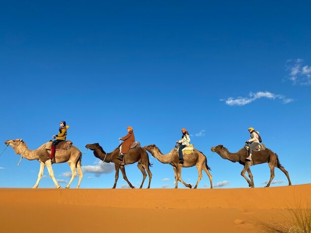 Imagen general del Hotel Sahara Luxury Camps. Foto 3