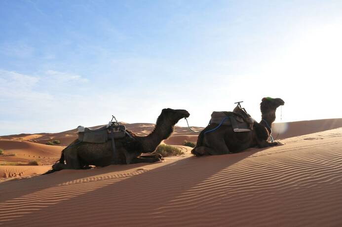 Imagen general del Hotel Sahara Luxury Camps. Foto 11