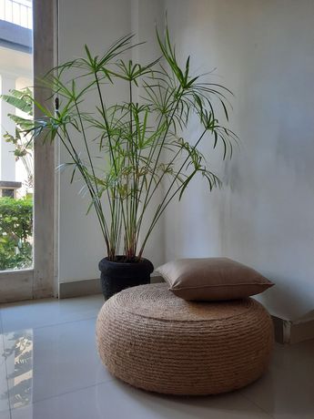 Imagen de la habitación del Hotel Sahera. Foto 6