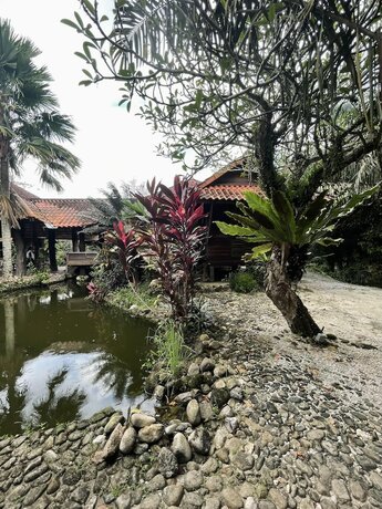 Imagen de la habitación del Hotel Sahom Valley Resort - Agro and Eco. Foto 11