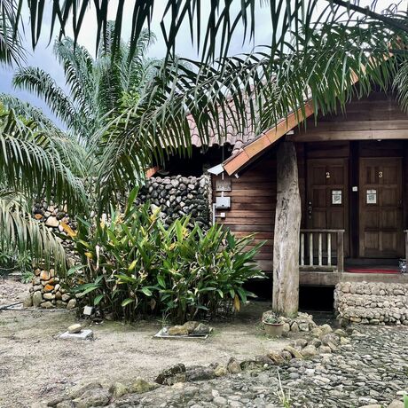 Imagen de la habitación del Hotel Sahom Valley Resort - Agro and Eco. Foto 13