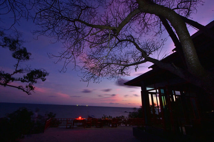 Imagen de la habitación del Hotel Sai Daeng Resort. Foto 3