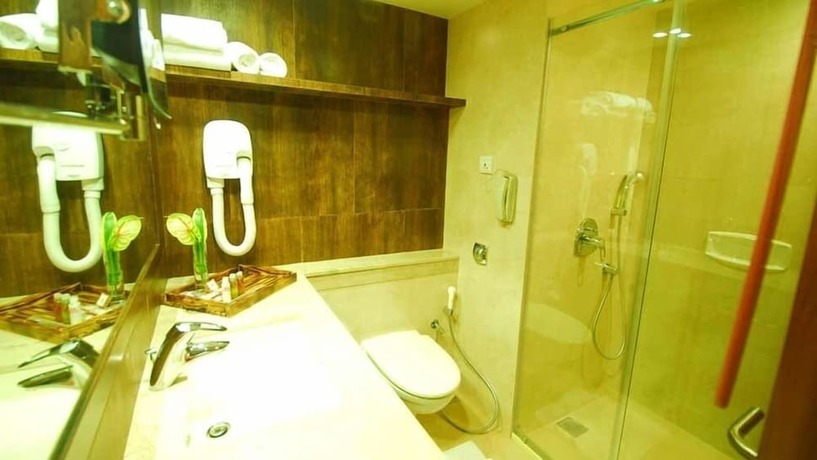 Imagen de la habitación del Hotel Sai Palace. Foto 18