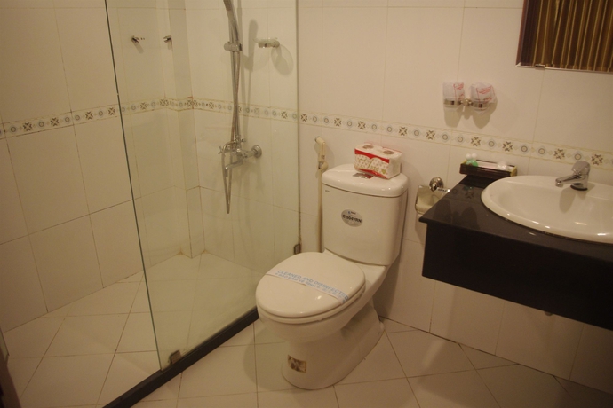 Imagen de la habitación del Hotel Saigon Pink 2. Foto 1