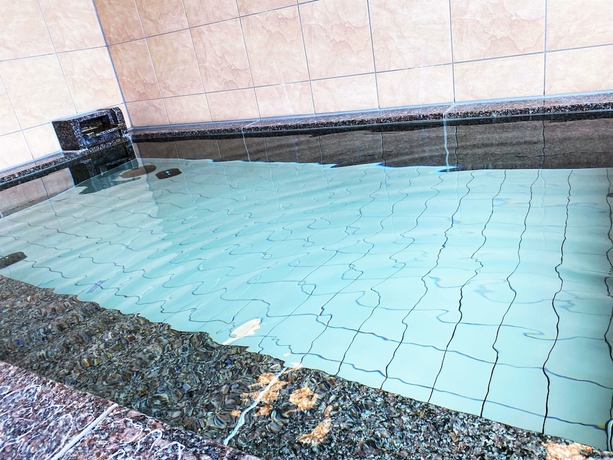 Imagen general del Hotel Saijo Urban. Foto 1