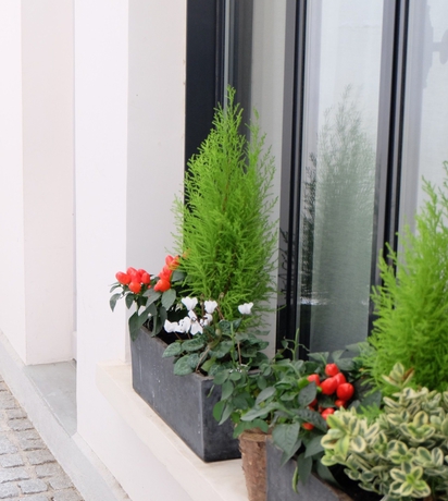 Imagen de la habitación del Hotel Saint Dominique. Foto 13