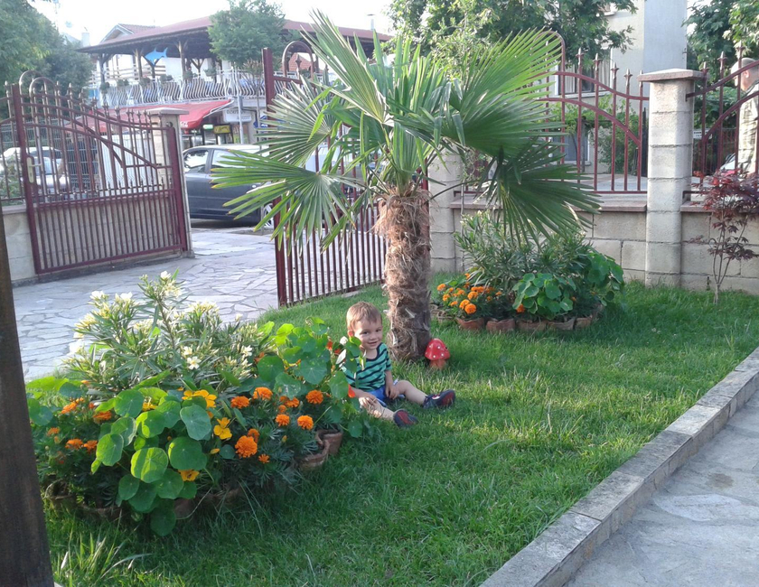 Imagen general del Hotel Saint George Family. Foto 6