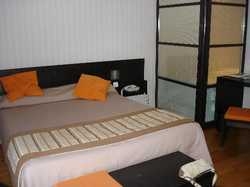 Imagen general del Hotel Saint Georges, CHALON SUR SAONE. Foto 2