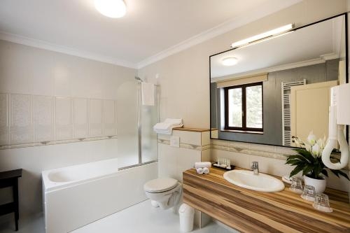 Imagen de la habitación del Hotel Saint Germain, Braila. Foto 8