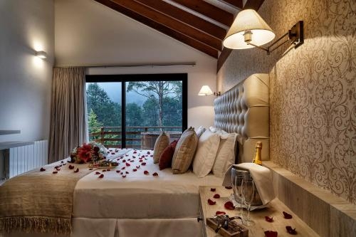 Imagen de la habitación del Hotel Saint Michel, Monte Verde. Foto 10
