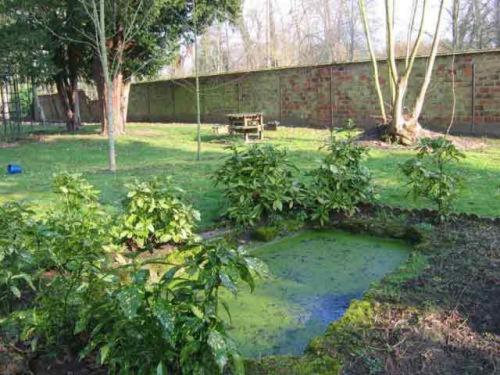 Imagen general del Hotel Saint Nicolas, Chaumont-en-Vexin. Foto 6