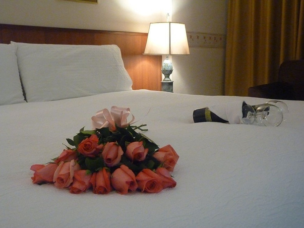 Imagen de la habitación del Hotel Saint Simon. Foto 14