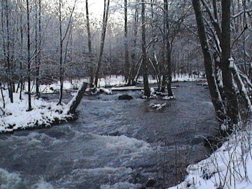 Imagen general del Hotel Saint-hubert. Foto 2