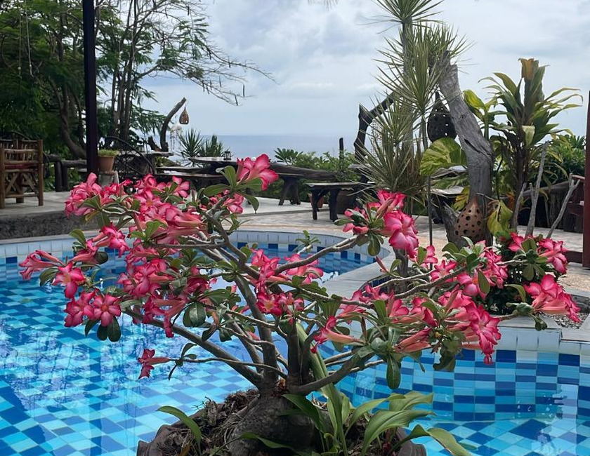 Imagen general del Hotel Sairee View Resort. Foto 5