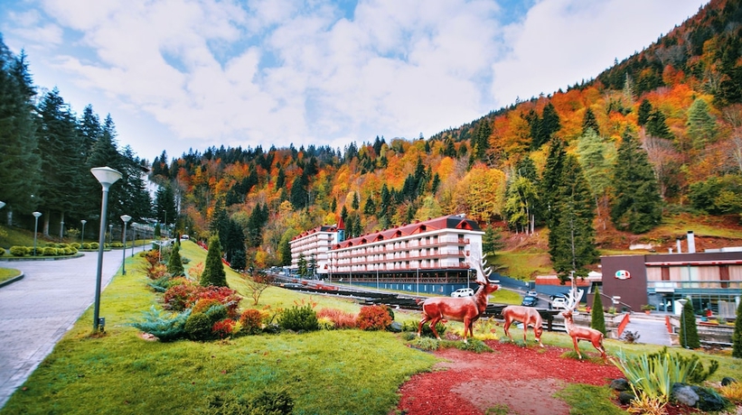 Imagen general del Hotel Sairme Resort. Foto 1