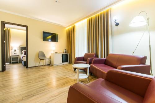 Imagen de la habitación del Hotel Sairme South. Foto 9