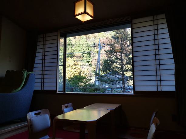 Imagen de la habitación del Hotel Sakahijiri in Nikko. Foto 10