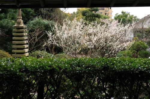 Imagen general del Hotel Sakahijiri・gyokushoen. Foto 1