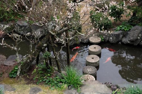 Imagen general del Hotel Sakahijiri・gyokushoen. Foto 3