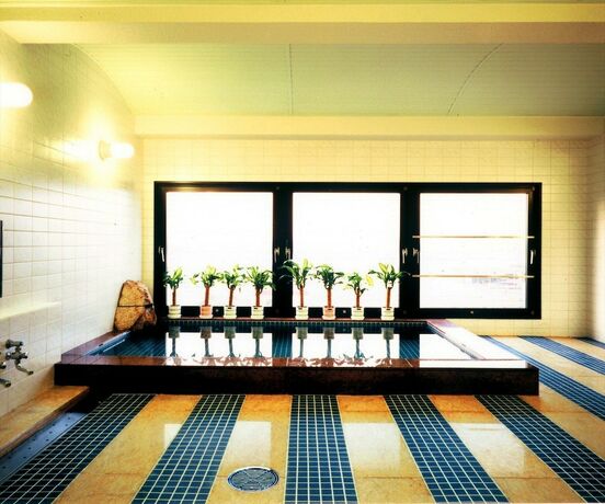 Imagen general del Hotel Sakaide Plaza. Foto 14