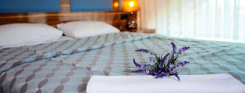 Imagen de la habitación del Hotel Sakarya Grand Hotel. Foto 8