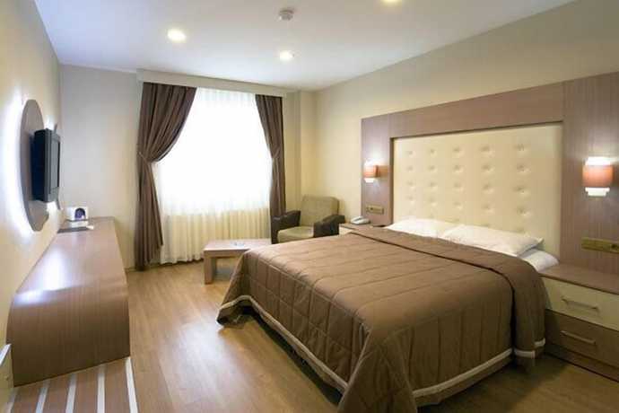 Imagen de la habitación del Hotel Sakarya Grand Hotel. Foto 11