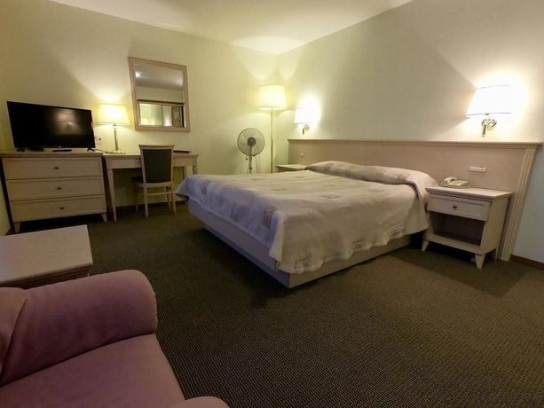 Imagen de la habitación del Hotel Sakhalin Sapporo. Foto 10