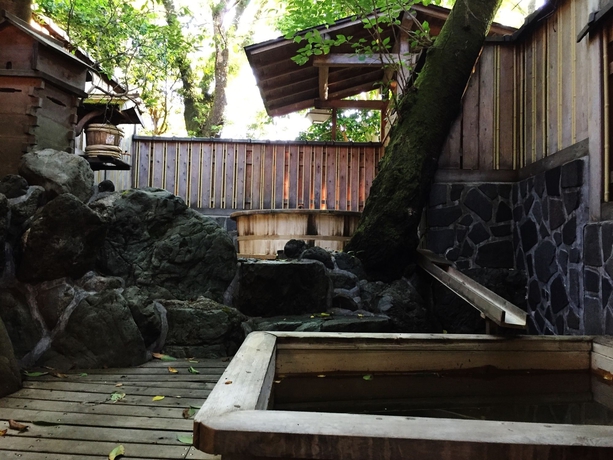 Imagen de la piscina del Hotel Sakoya -yoshino-. Foto 15