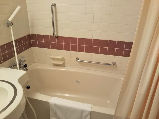 Imagen de la habitación del Hotel Saku Grand. Foto 11